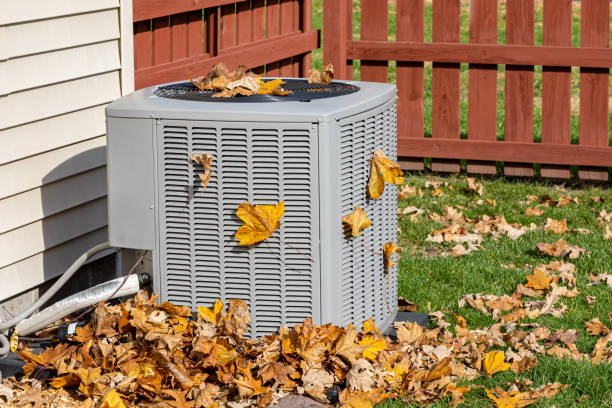 Best Residential HVAC Services  in Elgin, MN